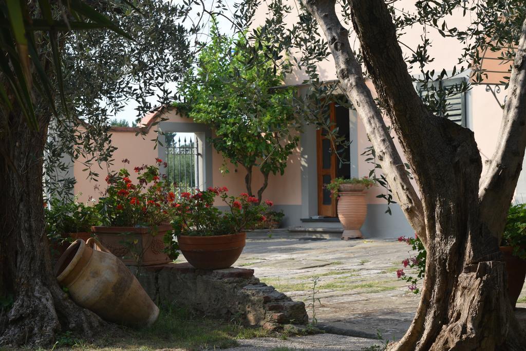 La Convenienza Bed & Breakfast Uliveto Terme Ngoại thất bức ảnh