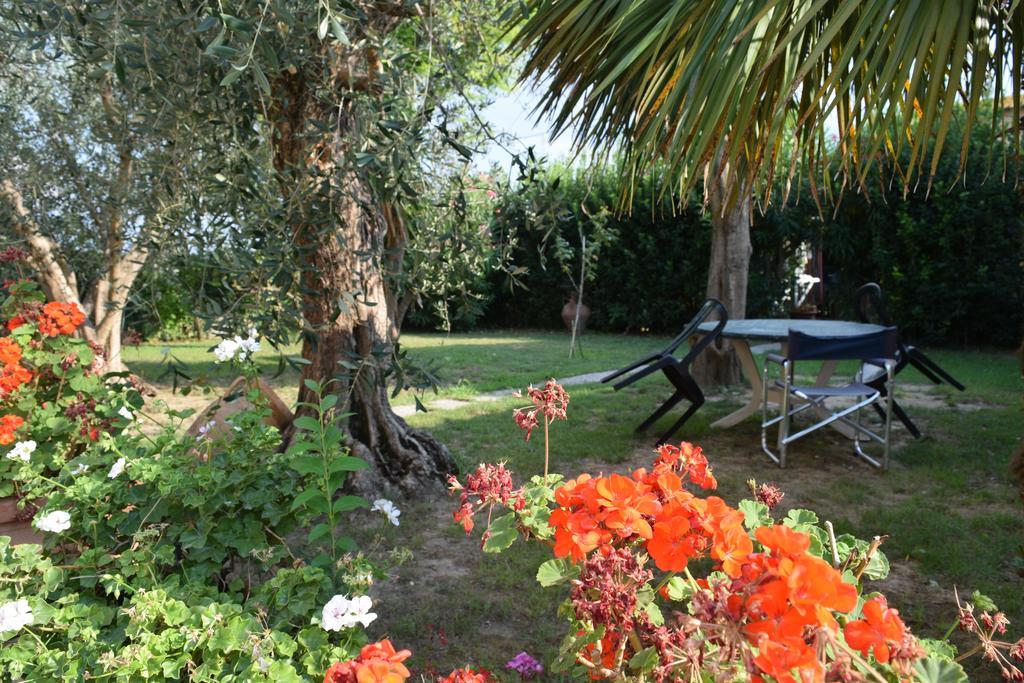 La Convenienza Bed & Breakfast Uliveto Terme Ngoại thất bức ảnh