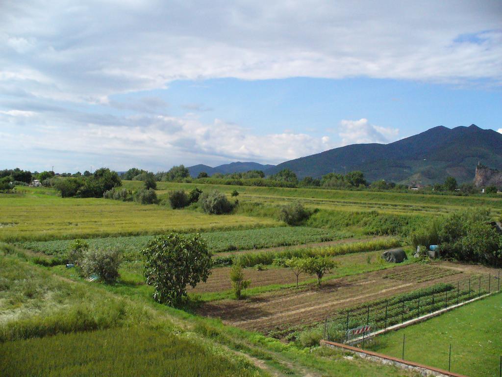 La Convenienza Bed & Breakfast Uliveto Terme Ngoại thất bức ảnh