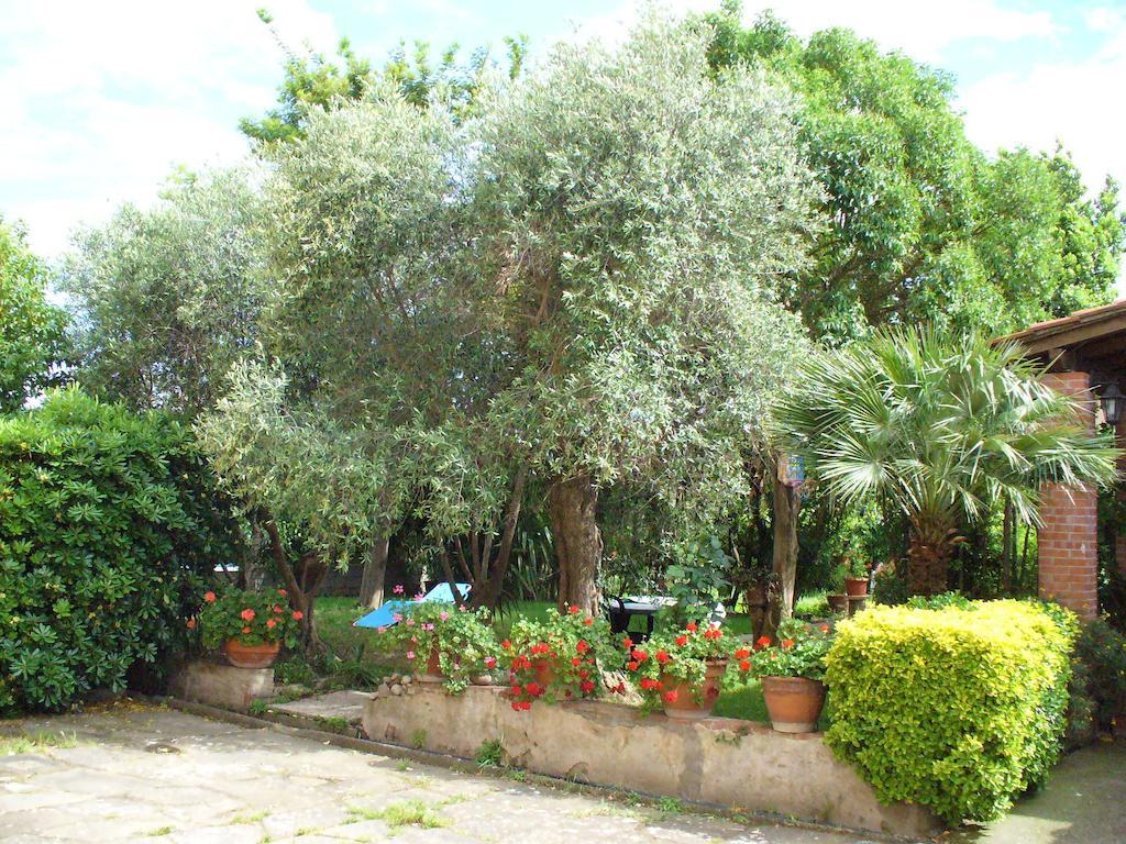 La Convenienza Bed & Breakfast Uliveto Terme Ngoại thất bức ảnh